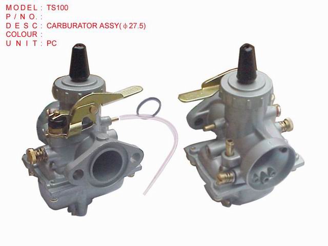 TS100 