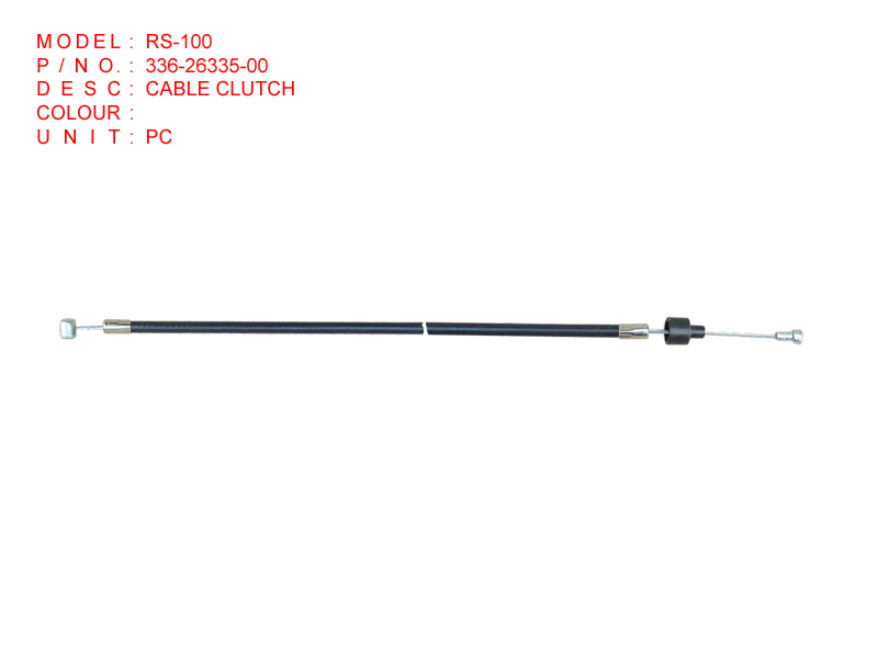 RS-100