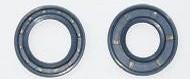 OIL SEAL PGT NEW